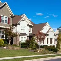 pest free homes