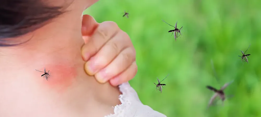Mosquitoes biting a person on the neck
